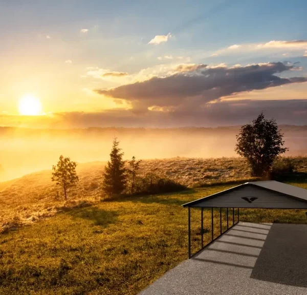 24x30x9 Metal Carport - Vertical Roof