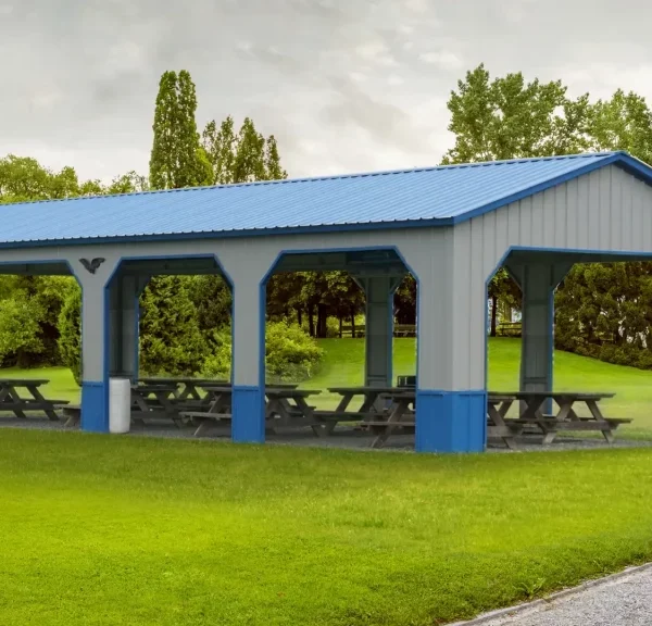 20x50x9 Metal Carport - Vertical Roof