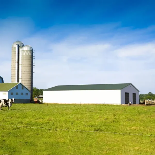 40x60x11 Metal Commercial Building - Vertical Roof